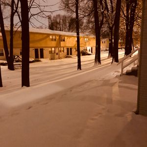 依人在线久在线视频
